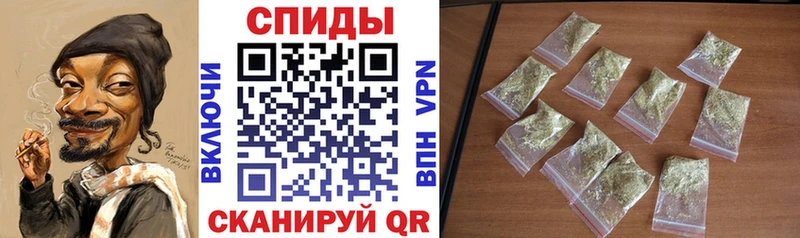 Бутират буратино  Мураши 
