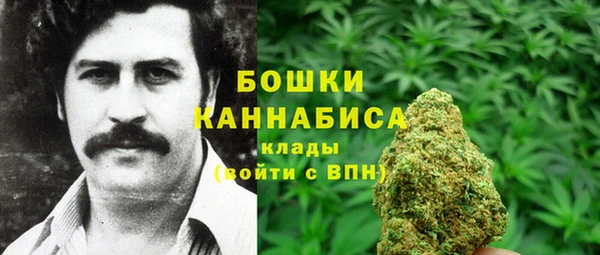 спайс Лагань