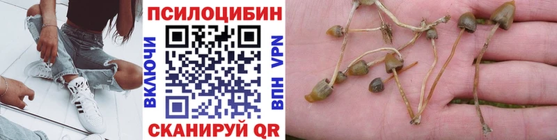 Псилоцибиновые грибы мицелий Мураши